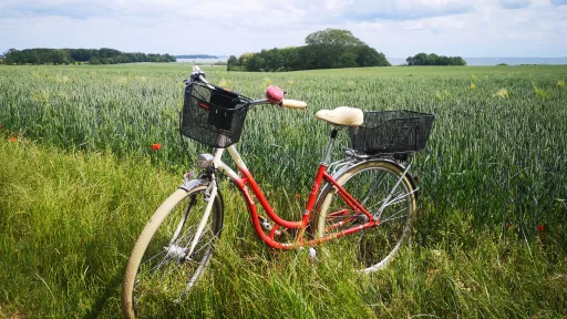 Fahrrad