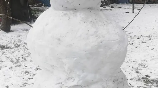 Schneemann
