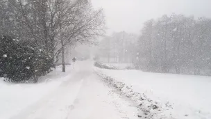 Schneetag