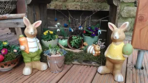 Osterhasen